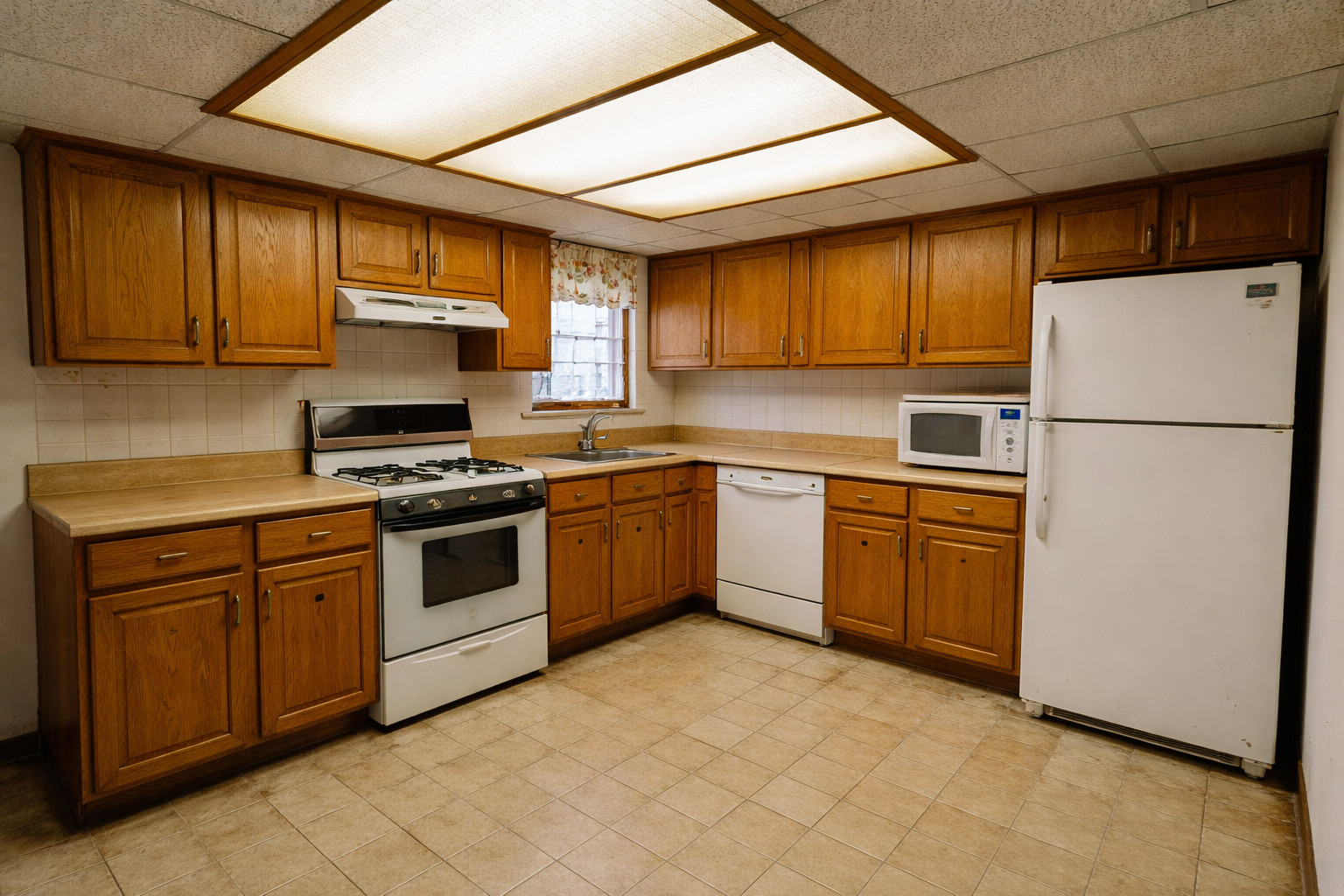 Modern Kitchen Upgrade before renovation